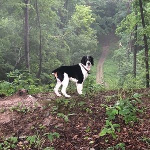 Meet your Posher, Corey